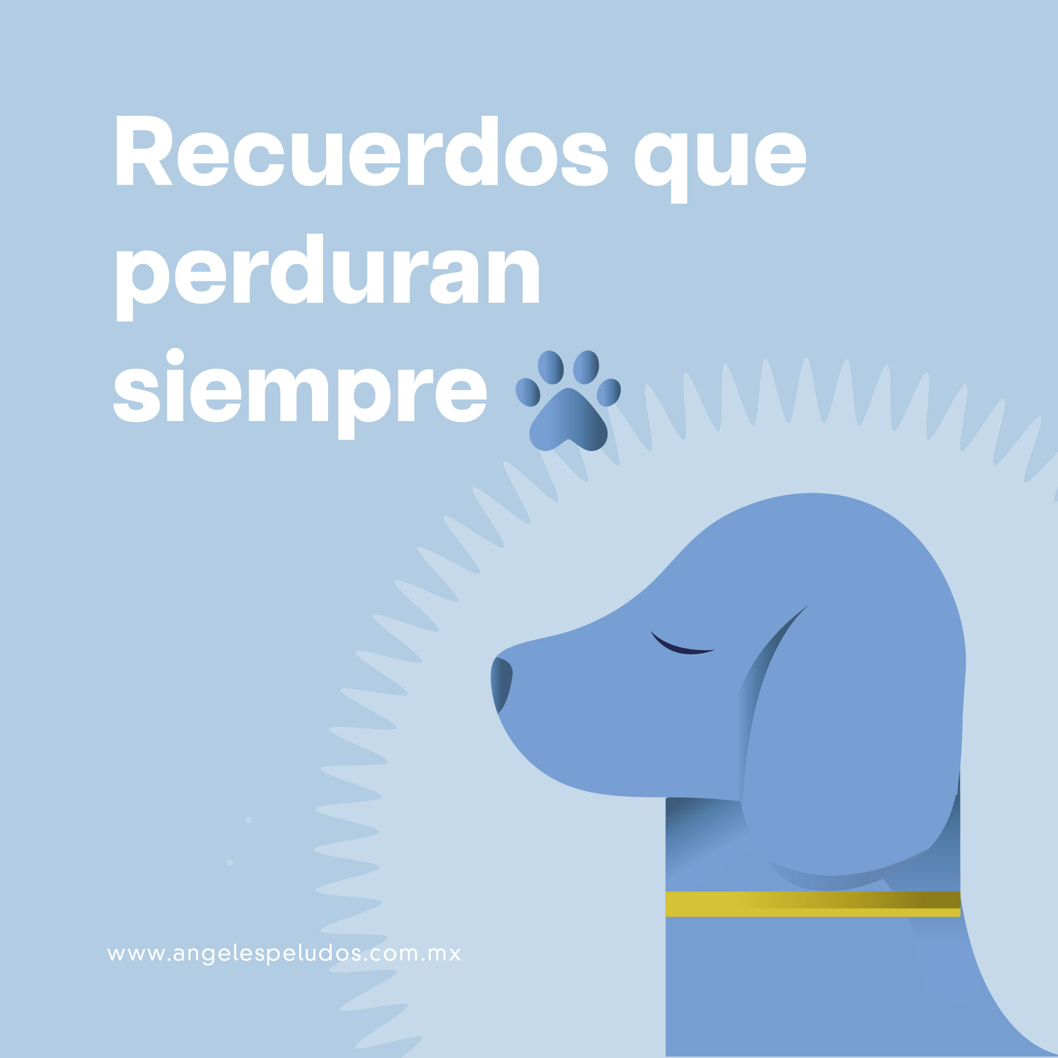 Recuerdos que perduran siempre - Ángeles Peludos
