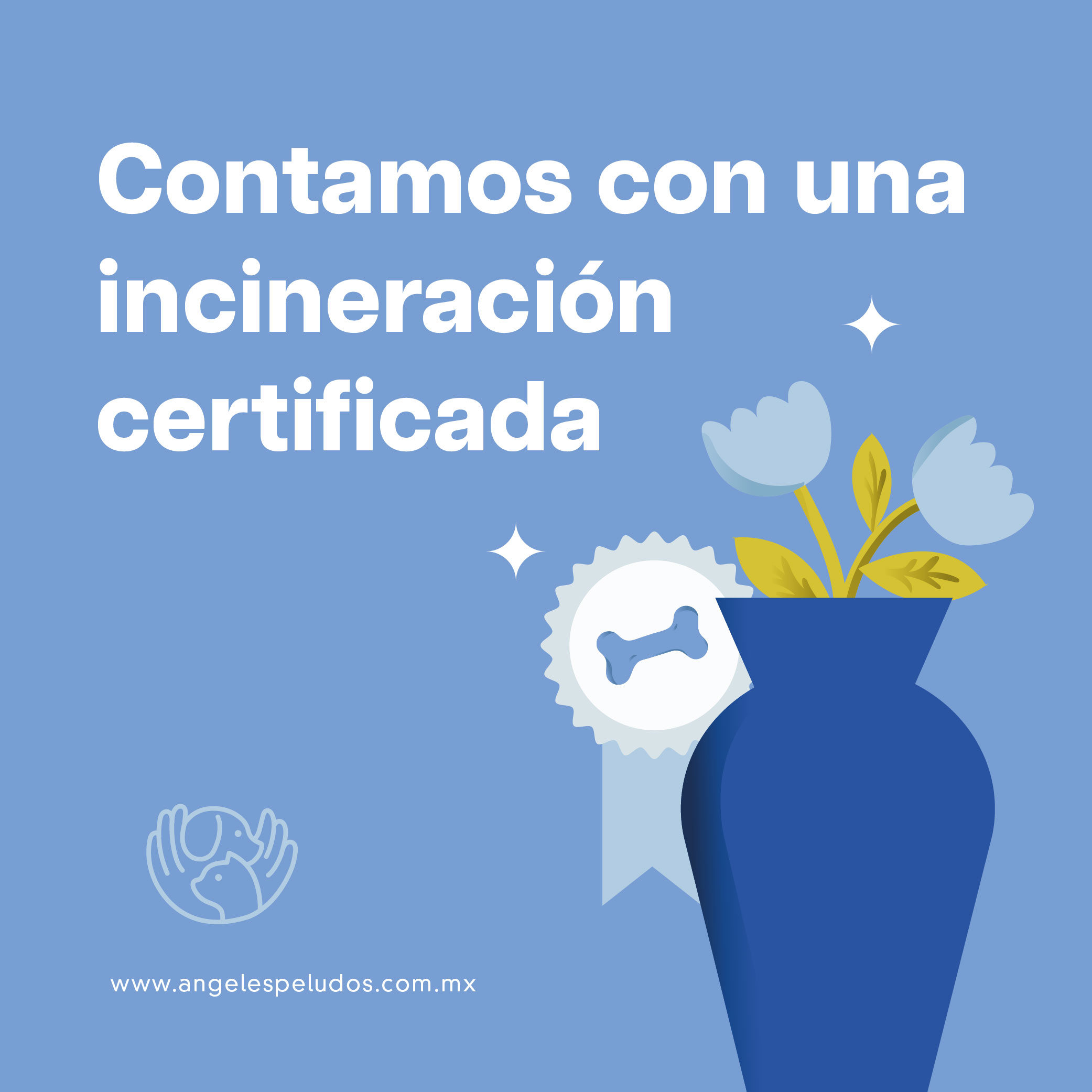Incineración individual certificada